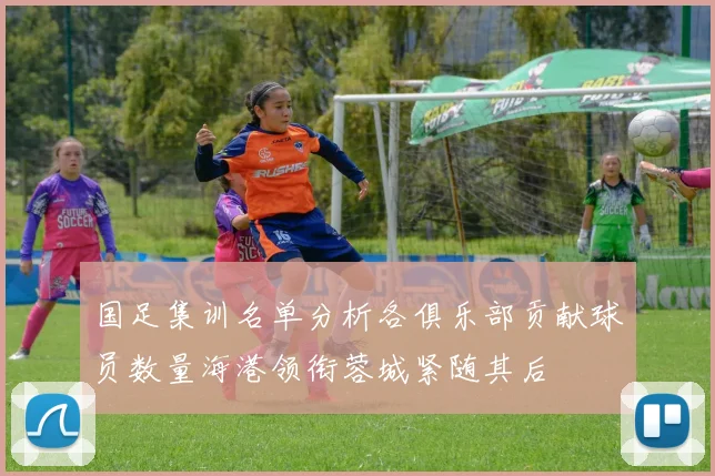 国足集训名单分析各俱乐部贡献球员数量海港领衔蓉城紧随其后