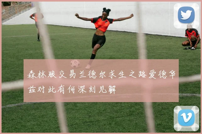 森林狼交易兰德尔求生之路爱德华兹对此有何深刻见解