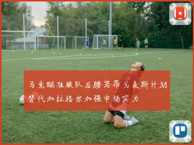 马竞瞄准狼队后腰若昂戈麦斯计划替代加拉格尔加强中场实力