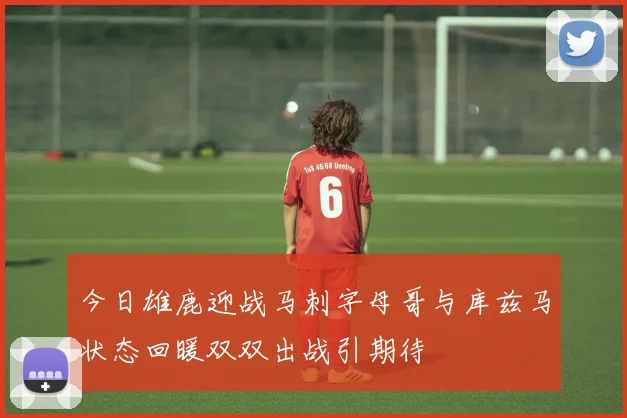 今日雄鹿迎战马刺字母哥与库兹马状态回暖双双出战引期待